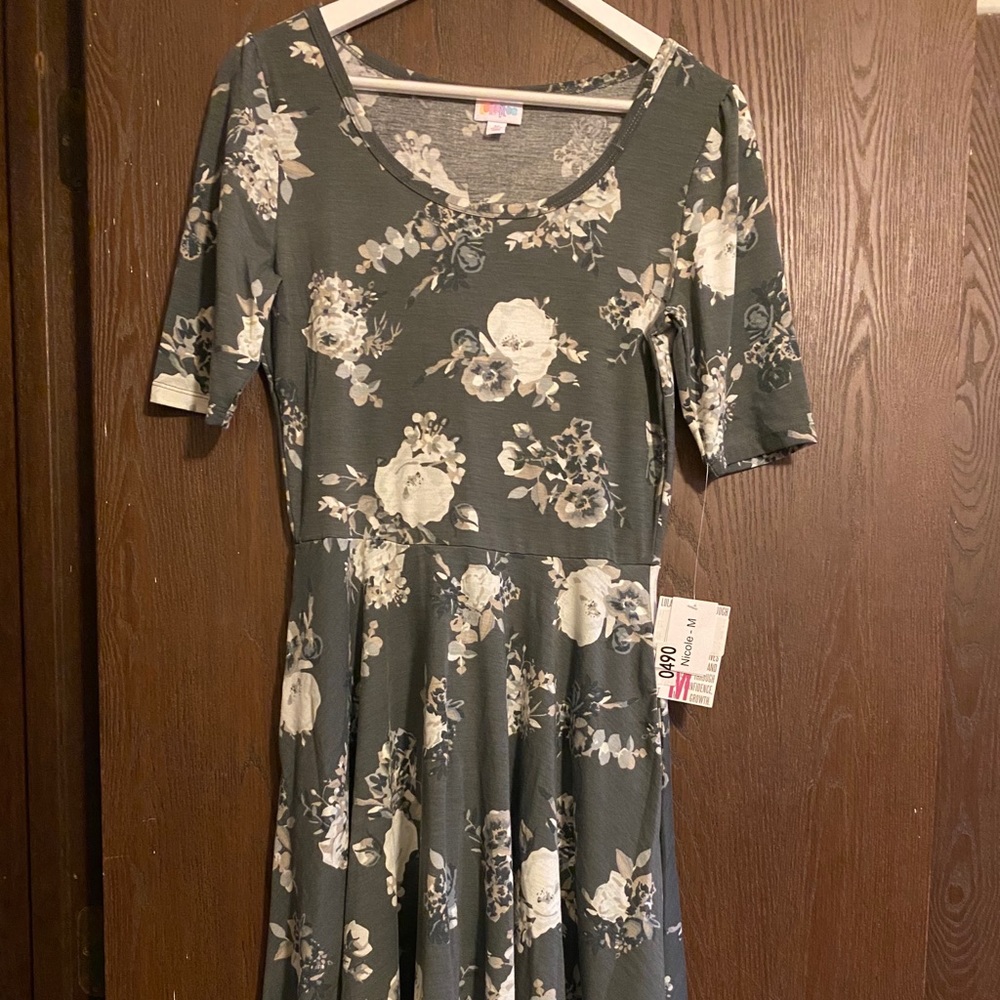 Lularoe Nicole Dress with Pockets